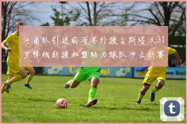 河南队引进前海港外援古斯塔沃31岁锋线新援加盟助力球队冲击新赛季